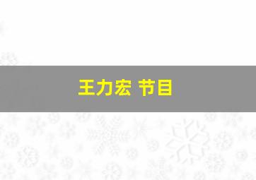 王力宏 节目